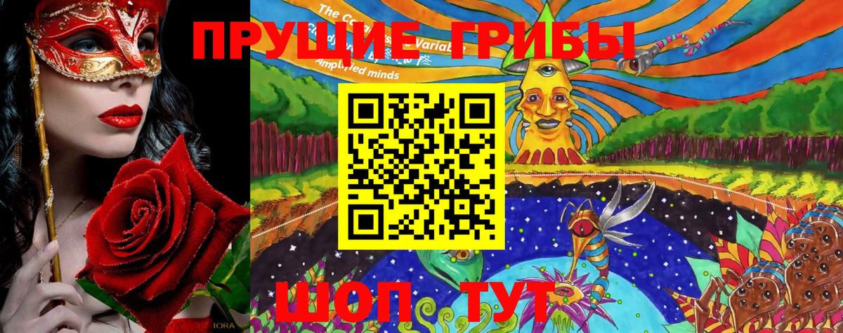 Хабаровск  Галлюциногенные грибы GOLDEN TEACHER  Галлюциногенные грибы GOLDEN TEACHER  Вход с VPN 