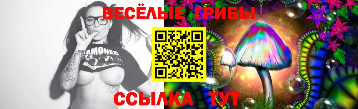 Псилоцибиновые грибы GOLDEN TEACHER Хабаровск